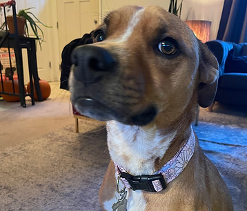 IMG_2019.jpeg