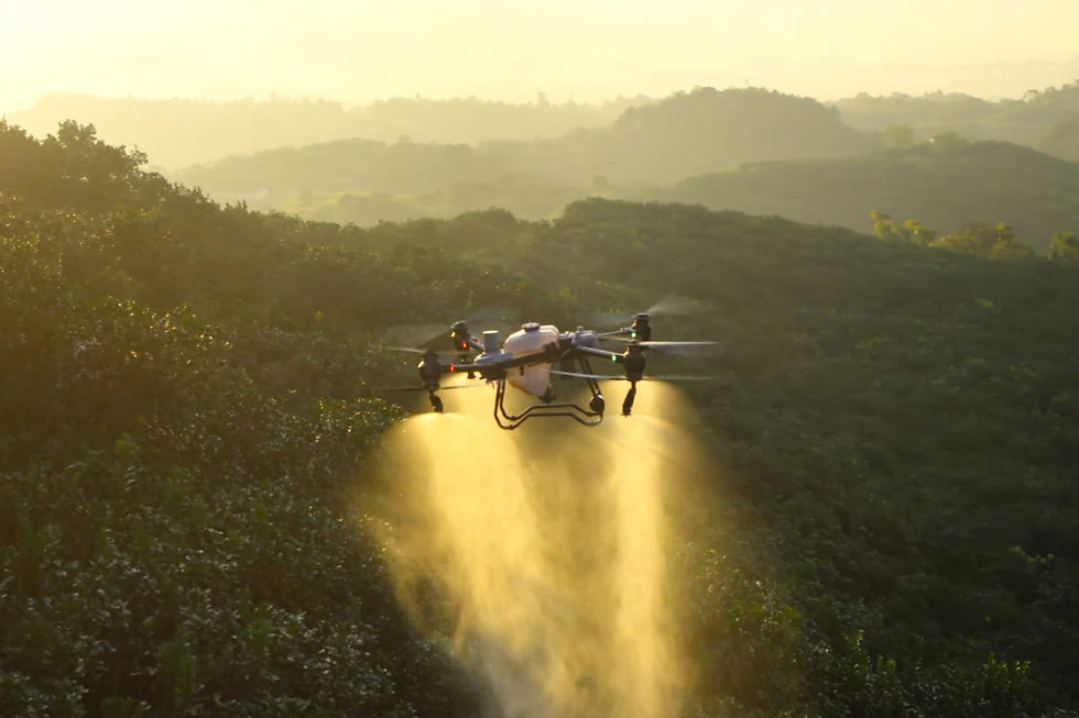 スクリーンショット 2025-11-25 17.22_edited.jpg