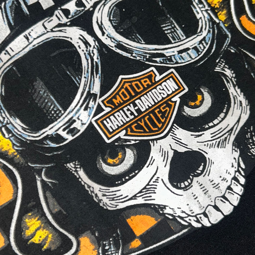 Miniatura: Camiseta HARLEY DAVIDSON - Daytona