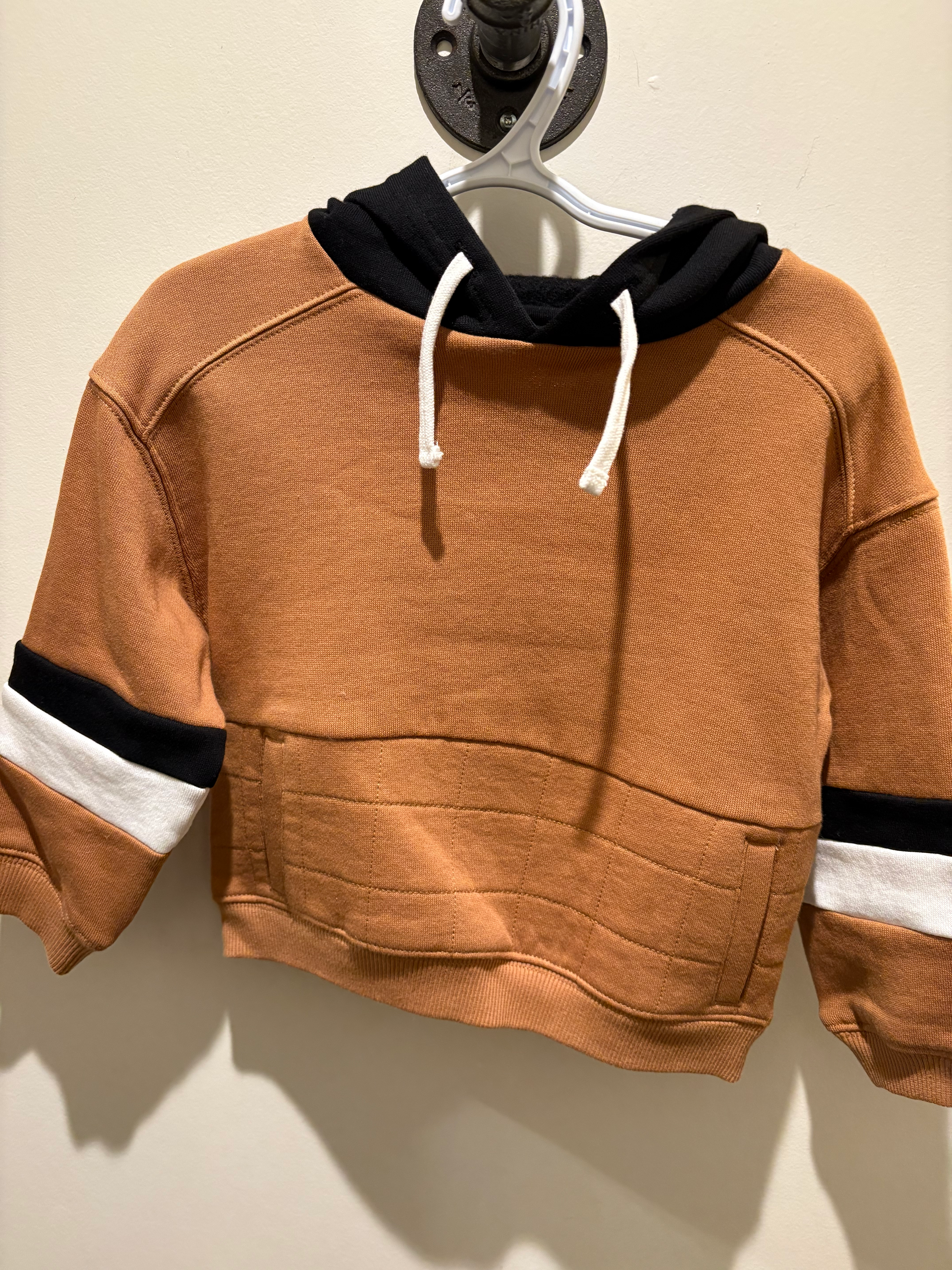 hoodie chipmunk F20U30