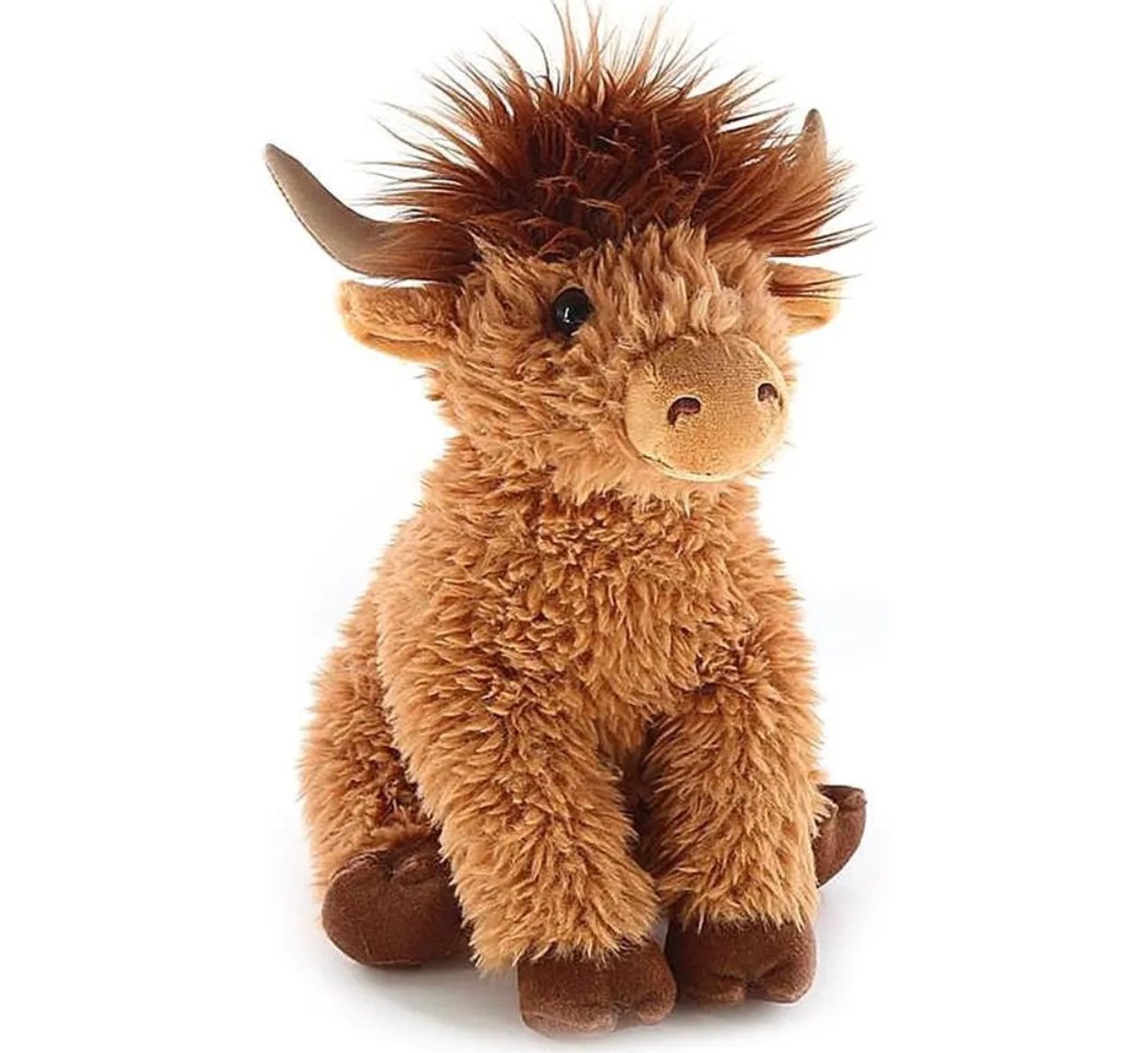 wild onez highland cow