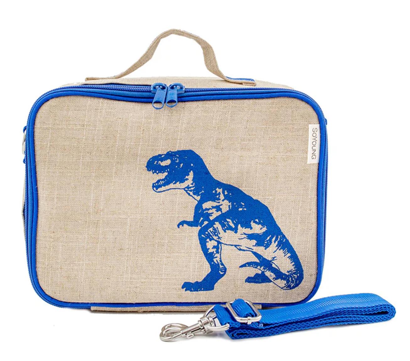 Blue Dino Lunch Box