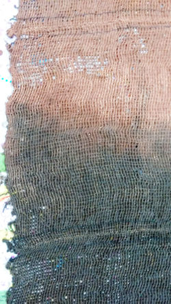 Detalle Vestigio 1