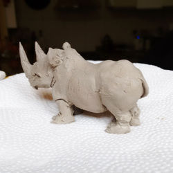Proyecto Animal de Poder