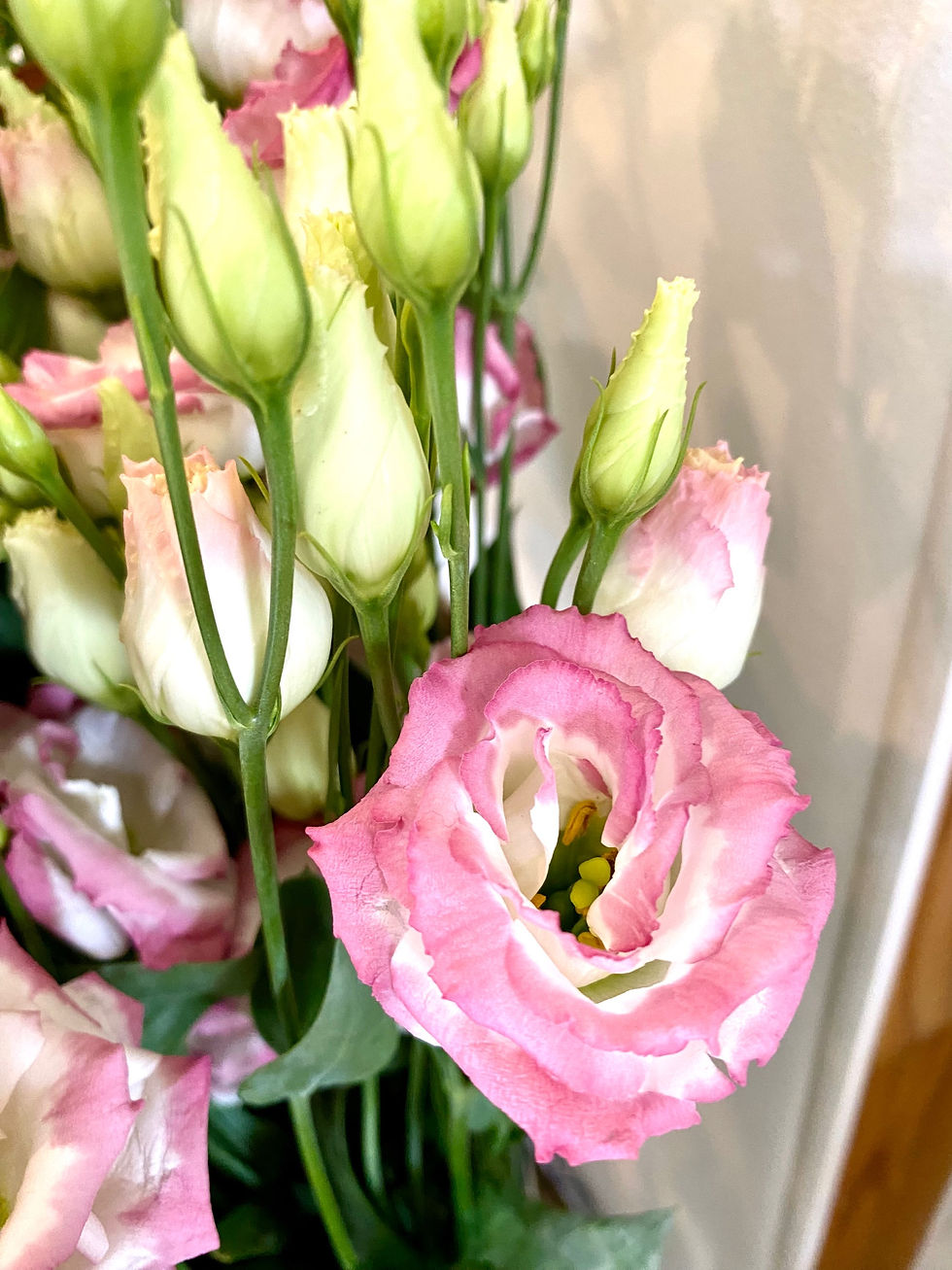 Miniature : Fleurs coupées début semaine 25/2024