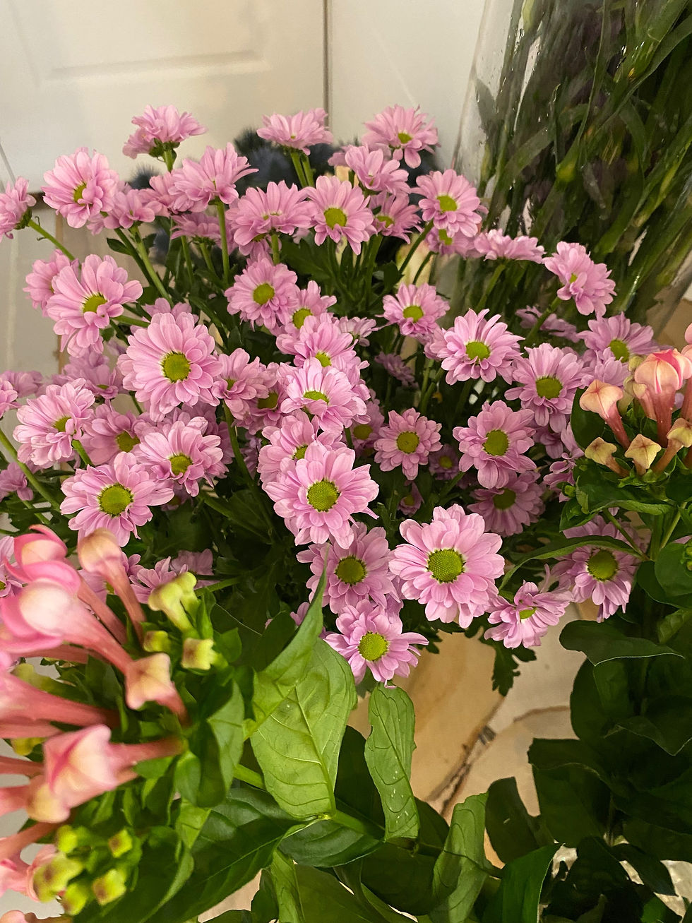 Miniature : Fleurs coupées de la semaine 35/2023