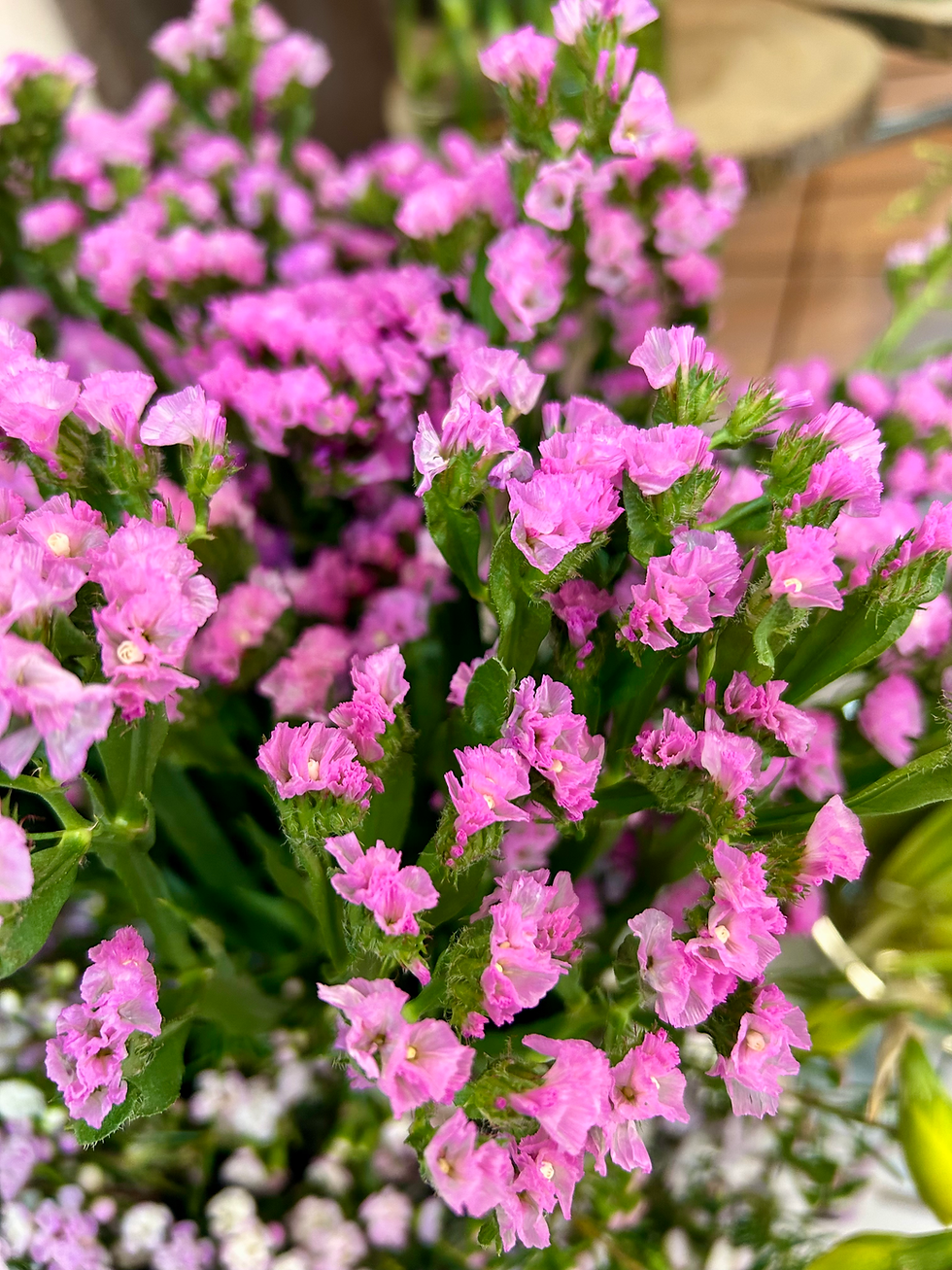 Miniature : Fleurs coupées semaine 13/14
