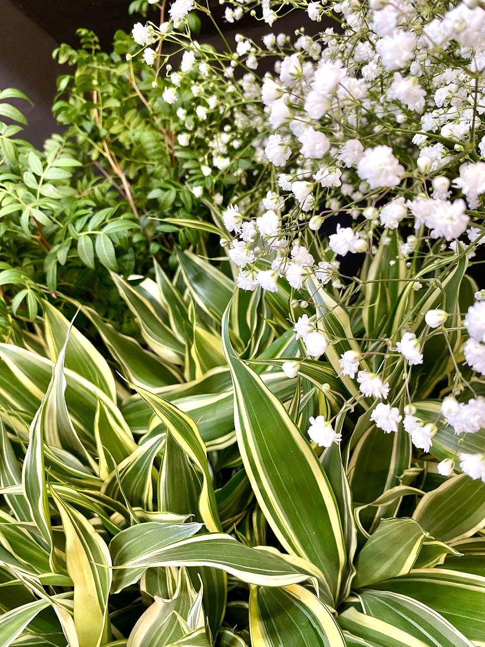 Miniature : Fleurs coupées début de la semaine 27/2024