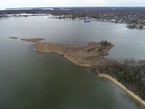 Restoration Spotlight: Long Point Shoreline Resilience Project