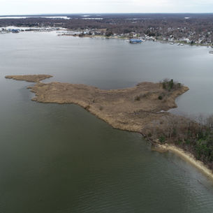 Restoration Spotlight: Long Point Shoreline Resilience Project
