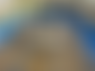 CCCC Member Capstone Blog-An Innovative Approach to SAV Restoration