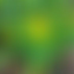 Let's Get Gardening!