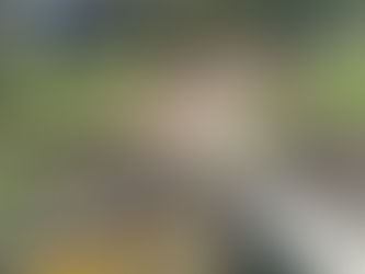 Restoration Spotlight- Southdown Shores