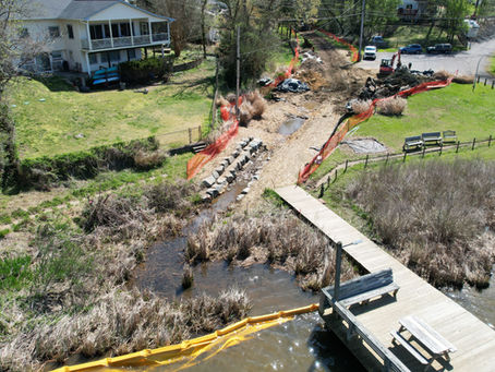 Restoration Spotlight- Southdown Shores