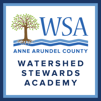 WSA-logo-RGB.gif