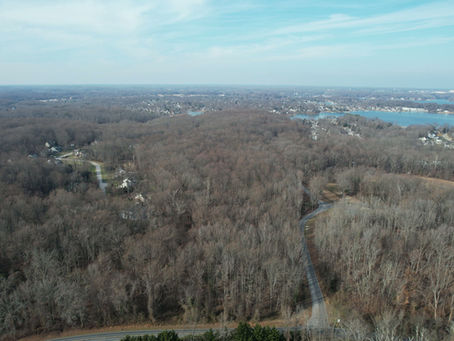 Thank You for Helping to Save the Forest at Glebe Heights