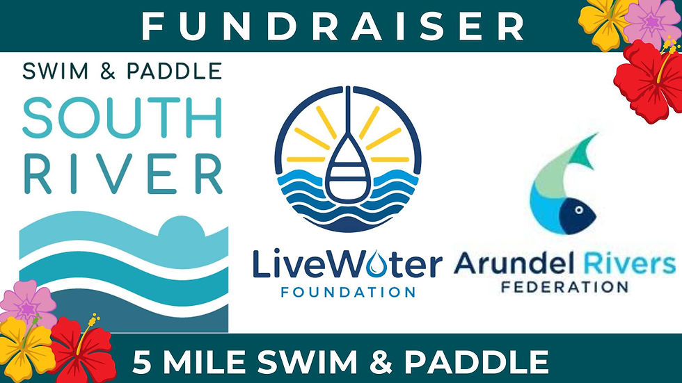 Swim & Paddle the South River