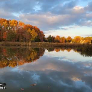 October 2025 Riverkeeper Report