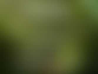 Randonnées de sensibilisation