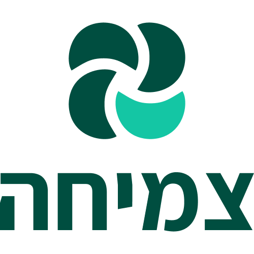 צמיחה - העוגן לעסקים
