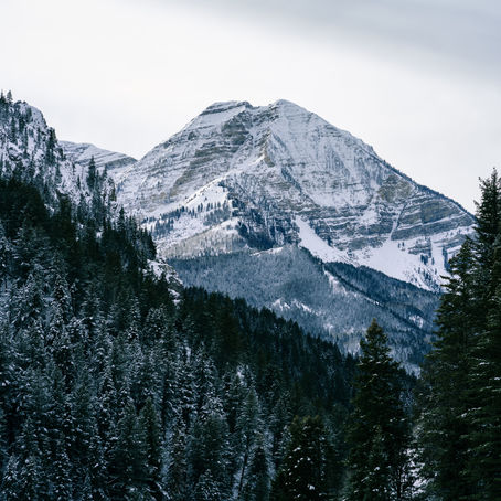Debora + Jeferson's winter engagement