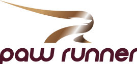 png 1 transparent background.png