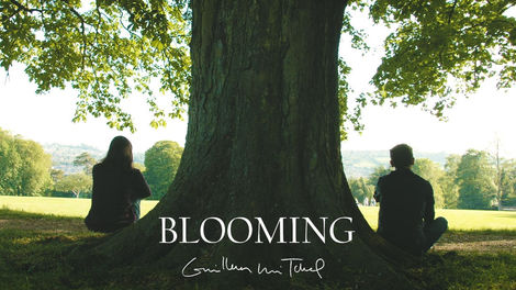 A woman and man sit either side of a large tree trunk, a beautiful sunlit park in front of them. The word 'Blooming' and name 'Guillem Mitchel' is in the centre of the bottom of the image.