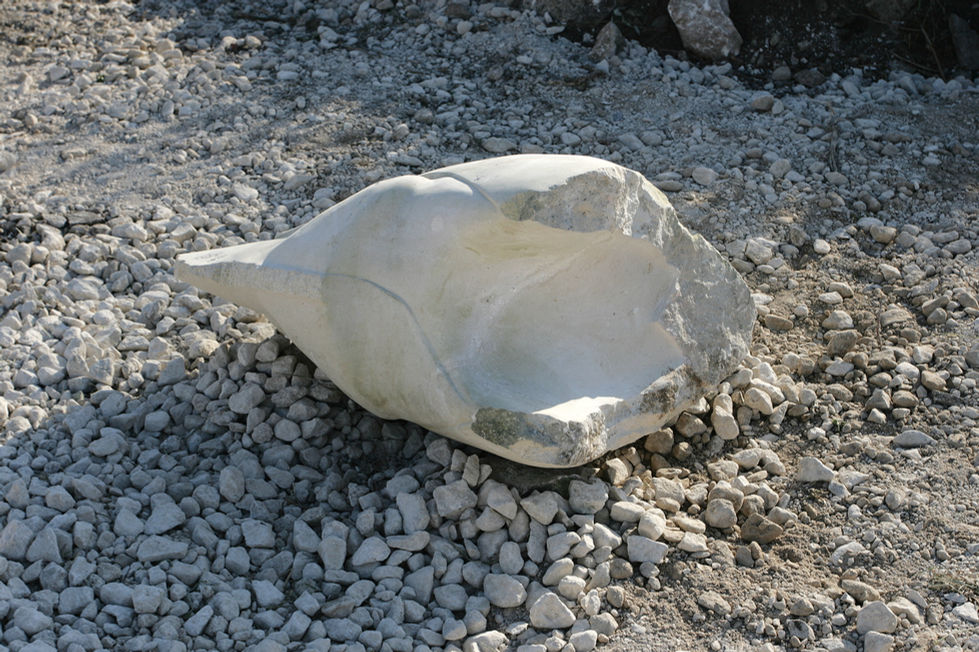 Fossil