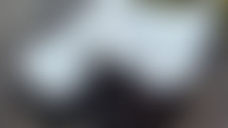 出店者おおよそ決まりました