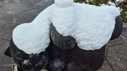 出店者おおよそ決まりました