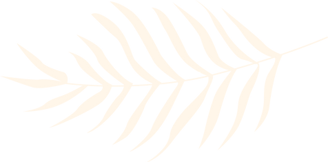 Ativo 8.png