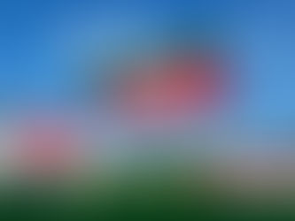 Inscrições abertas para os campeonatos de Futebol Cinquentão e Master no CEPE Stella Maris