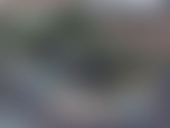 Liminar mantém sede do CEPE Stella Maris após risco de alienação