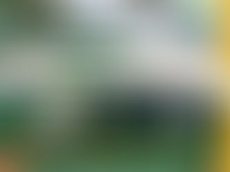 Tudo 'check' no CEPE Stella Maris ✅