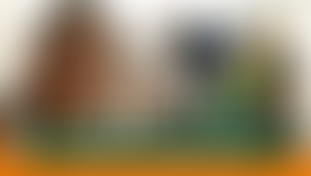 Reunião definiu os últimos detalhes para o Réveillon CEPE Stella Maris