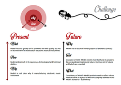 MEDELI RESEARCH DOCUMENT