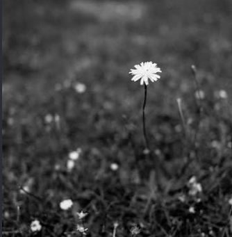 hope is the thread that weaves the fabric of faith