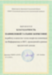 Благодарность член жюри.PNG