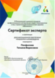 СЕртификат эксперта Абилимпикс.PNG