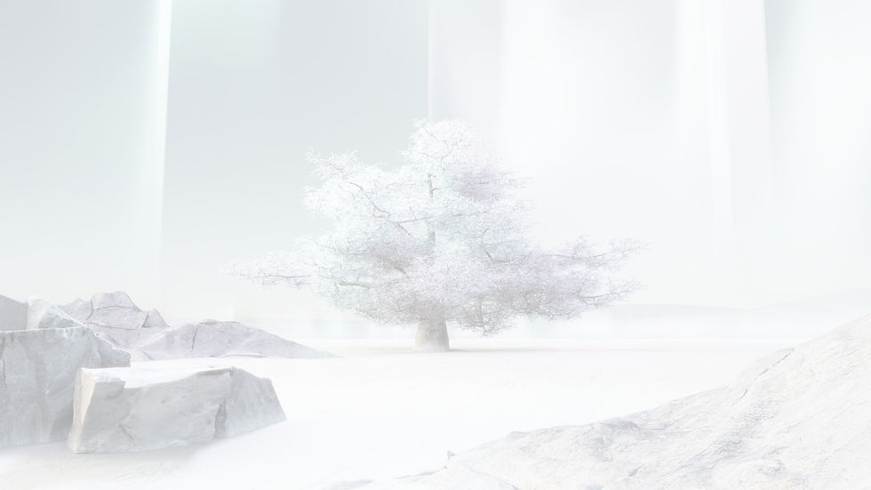Illuminated Tree_edited.jpg