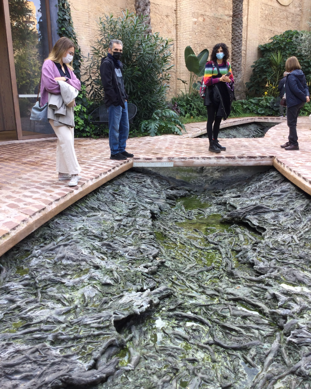 V BIENNAL DE VALENCIA CVO 2021