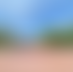 Tugu Petir ( Tugu Proklamasi )