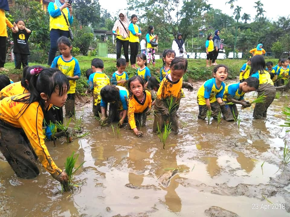 Tandur ( Tanam Mundur )