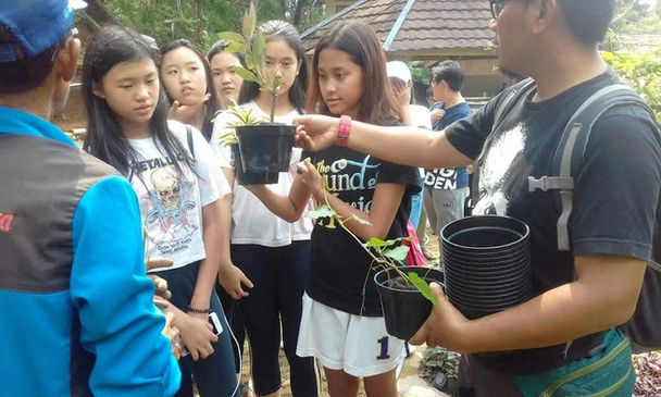 Agro Apotek Hidup
