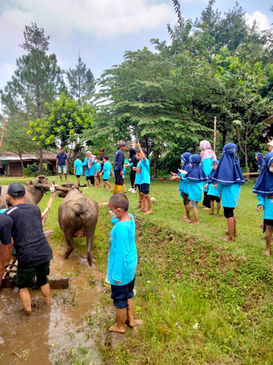 Agro Sawah