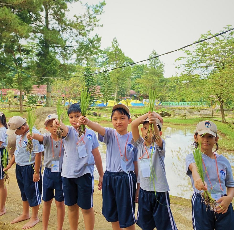 Agro sawah