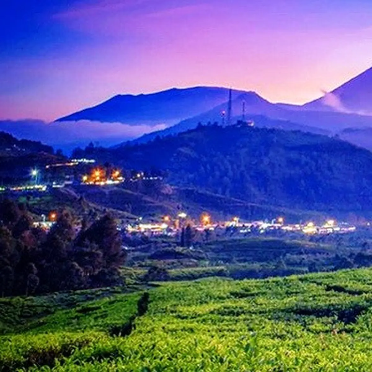 Citra Alam Puncak Bogor