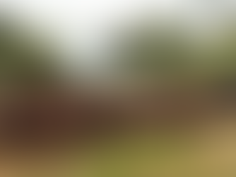 Bagaimana Kegiatan LDKS Membentuk Mental Pemimpin