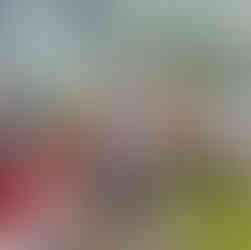 Tanam pohon di Citra Alam