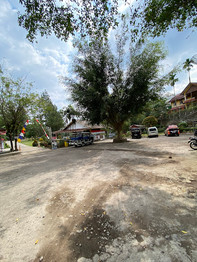 Parkiran Citra Alam